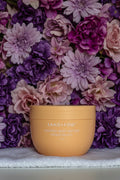 SF Mango Gelato Body Butter