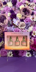 SF Dawn to Dusk Discovery Fragrance Oil Set