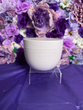 SF Vanilla Orchid Body Butter